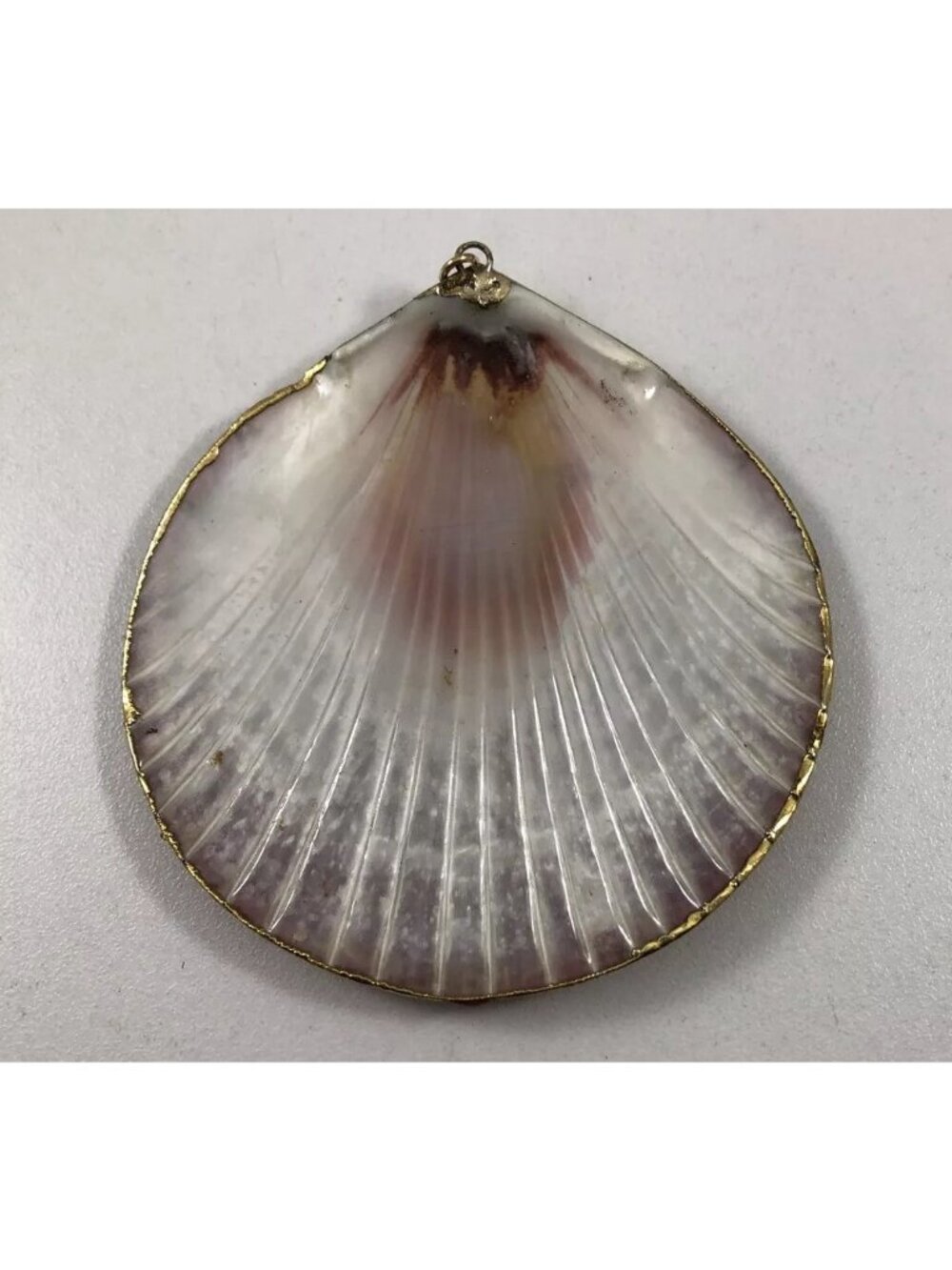 Ocean Sea Fan Shell Nautical Fashion Pendant Necklace - Picture 5 of 6